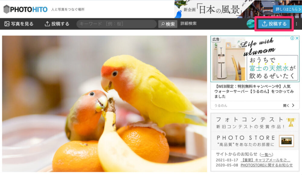 ヒト フォト 写真共有サイト『PHOTOHITO』、掲載写真を試験販売